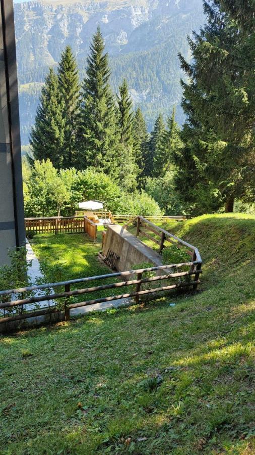 Sasso Rosso Apartment Folgarida Εξωτερικό φωτογραφία
